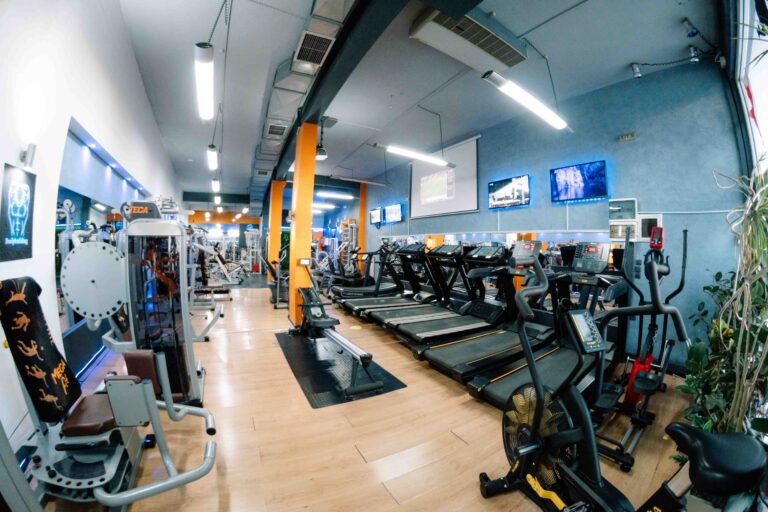 Mega Fit – Basic Pack Plus: Basic Pack Plus με μηχανήματα, open gym και ομαδικά προγράμματα fitness.