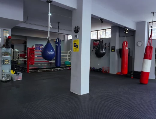 Σπαρτιατική Αγωγή Δύναμη Πειραιώς