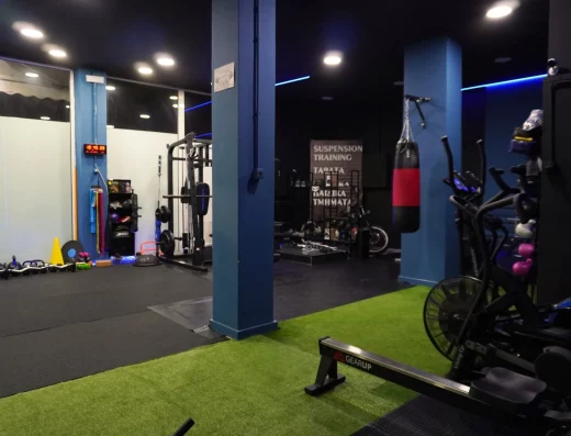 Alkyonis Phoenix Personal Studio