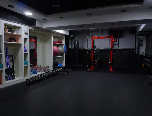 Alkyonis Phoenix Personal Studio 1