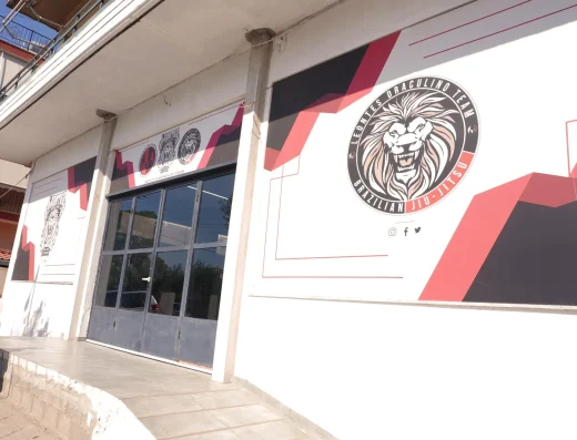 Leontes Draculino Team