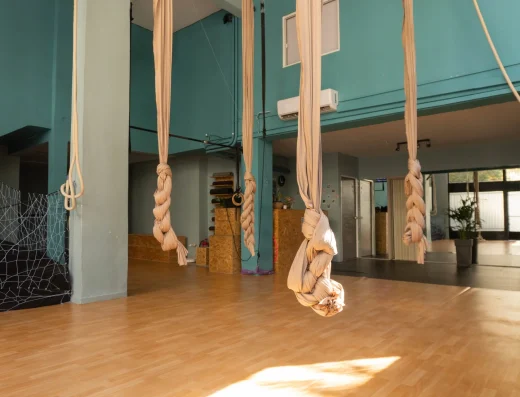 Momentum Aerial Acrobatics