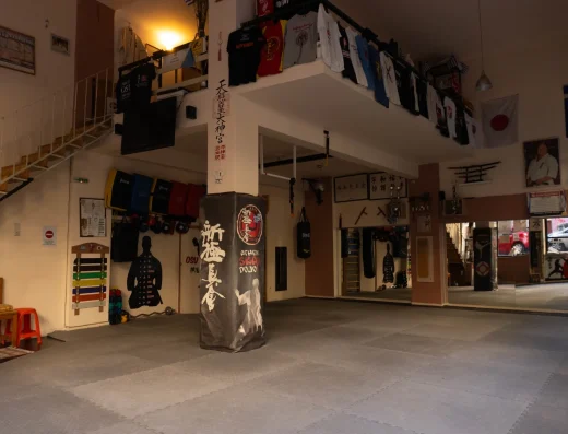 Shinkyokushin Karate – Skapi dojo