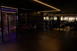 W Strength Health Club – Calisthenics