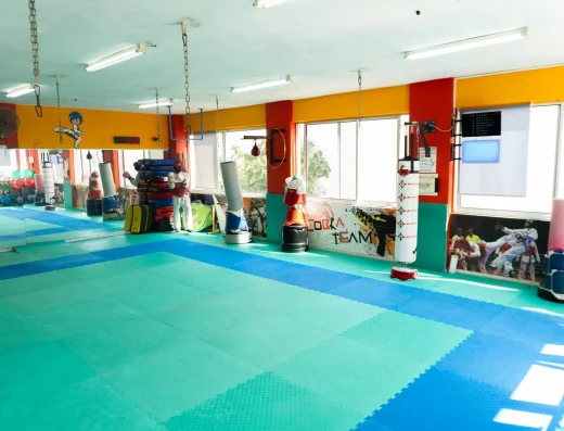 Α.Σ. Κόμπρα Ιλίου