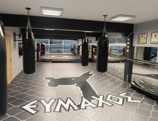 Ακαδημία Ευμάχος