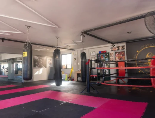 Kallimachos kordalis team