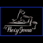 Flexysoma peiraias logo
