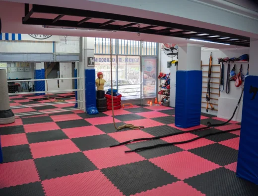 Α.Σ. Ακρόπολη