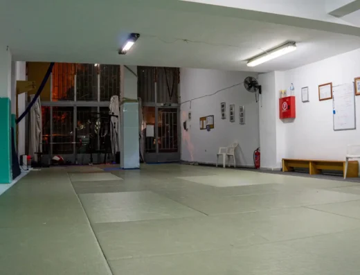 Α.Σ. Μυρμιδόνες