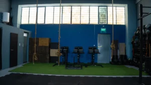 Athens Arena Box – Combo Συνδρομές CrossFit & Gymnastics