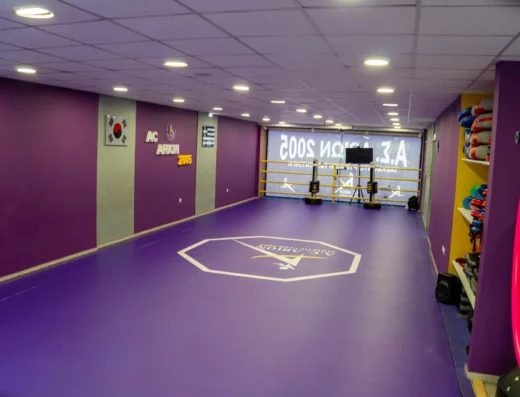 Α.Σ. ΑΡΙΩΝ 2005