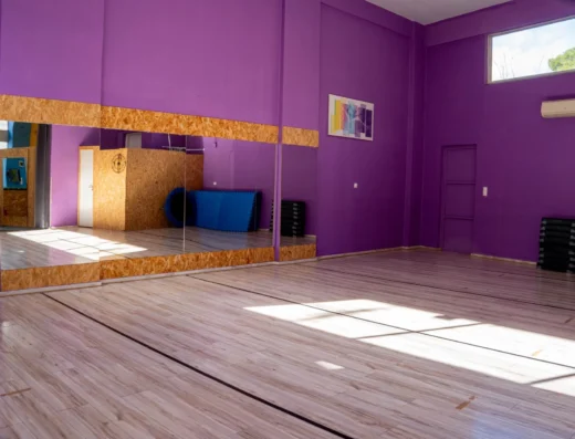 Α.Σ ΑΡΙΩΝ 2005 – 2