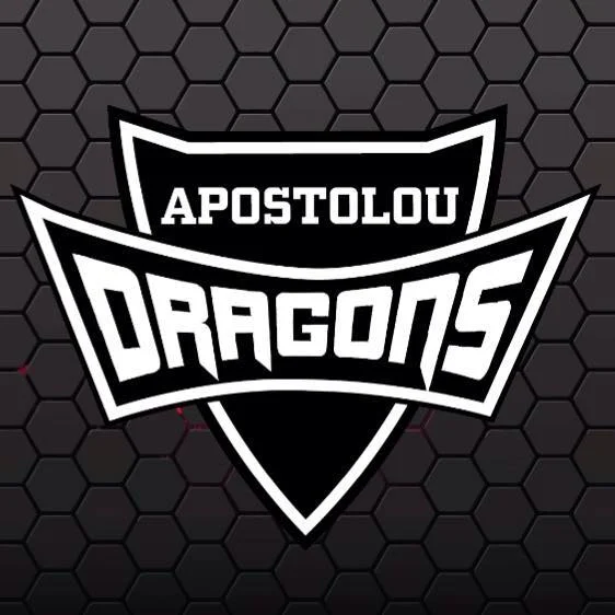 Dragons Fight Academy