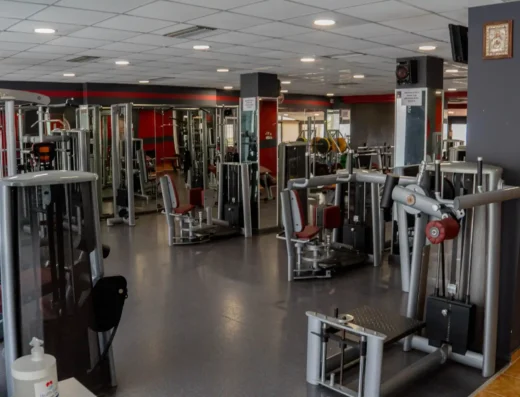 Dragons Fight Academy