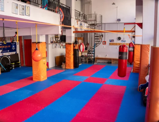 ΑΓΣ Μαχητικών Τεχνών Διομήδης