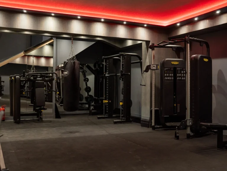 Fitness Therapy Wellness Club - Όργανα. Πλήρης πρόσβαση στα ελεύθερα βάρη και τον σύγχρονο εξοπλισμό μας για στοχευμένη ενδυνάμωση.