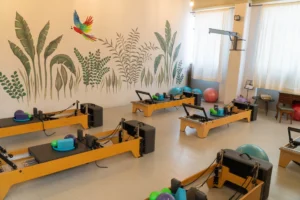 Top Fit Gym – Pilates Reformer