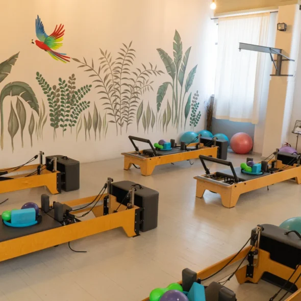 Αίθουσα Pilates Reformer με τροπική τοιχογραφία – Pilates Reformer Πειραιάς – Top Fit Gym | Gymscouter