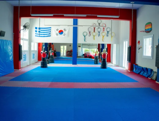 ΑΠΣ Δραπετσώνας – Taekwondo WT