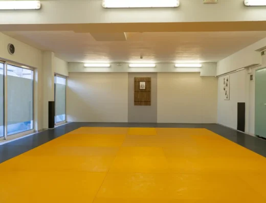 Mushindokan Martial Arts